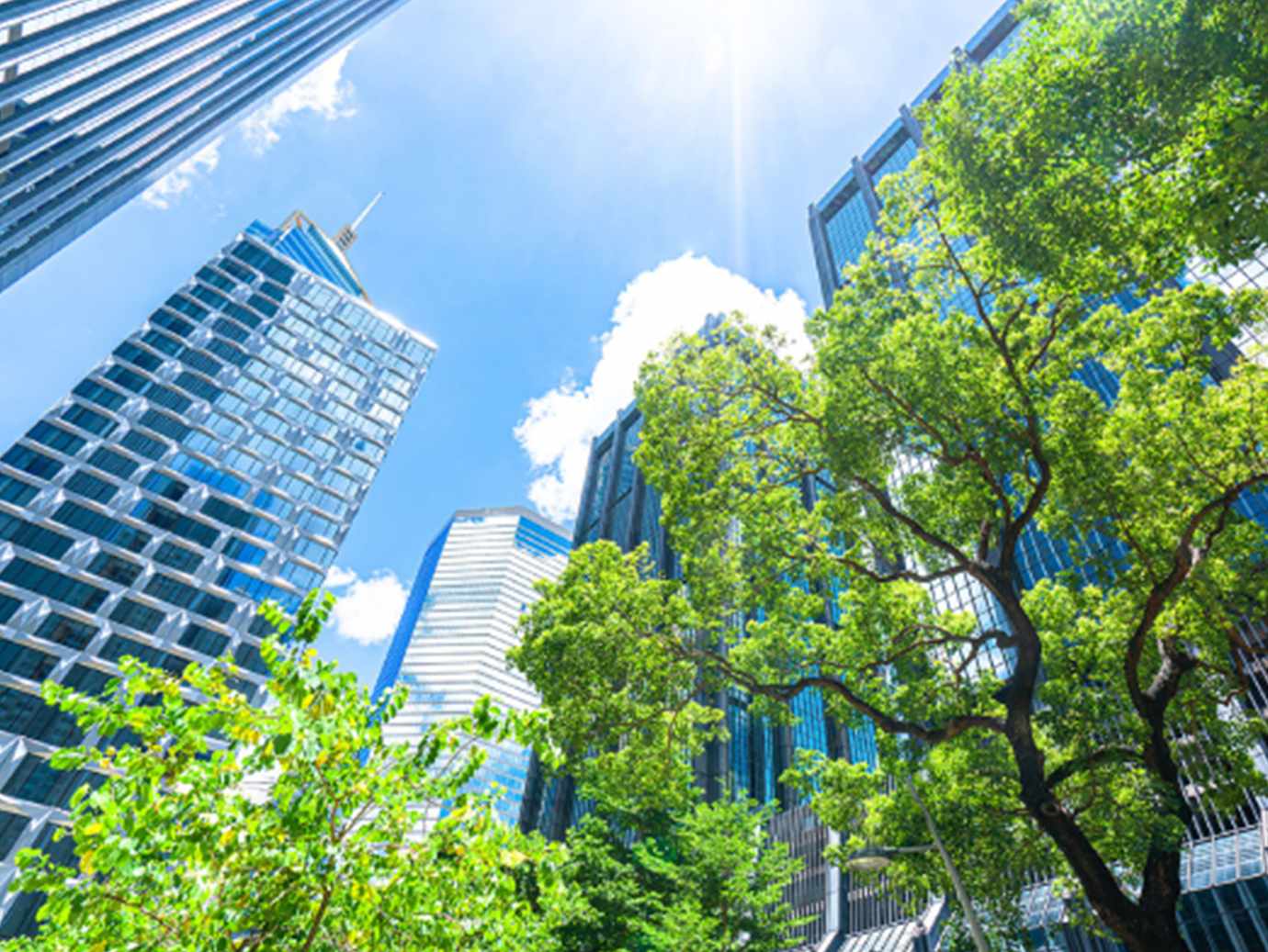 Business towers and green leaves in hong kong