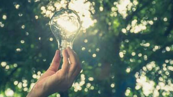 Person holding up a light bulb against a garden of lush green trees