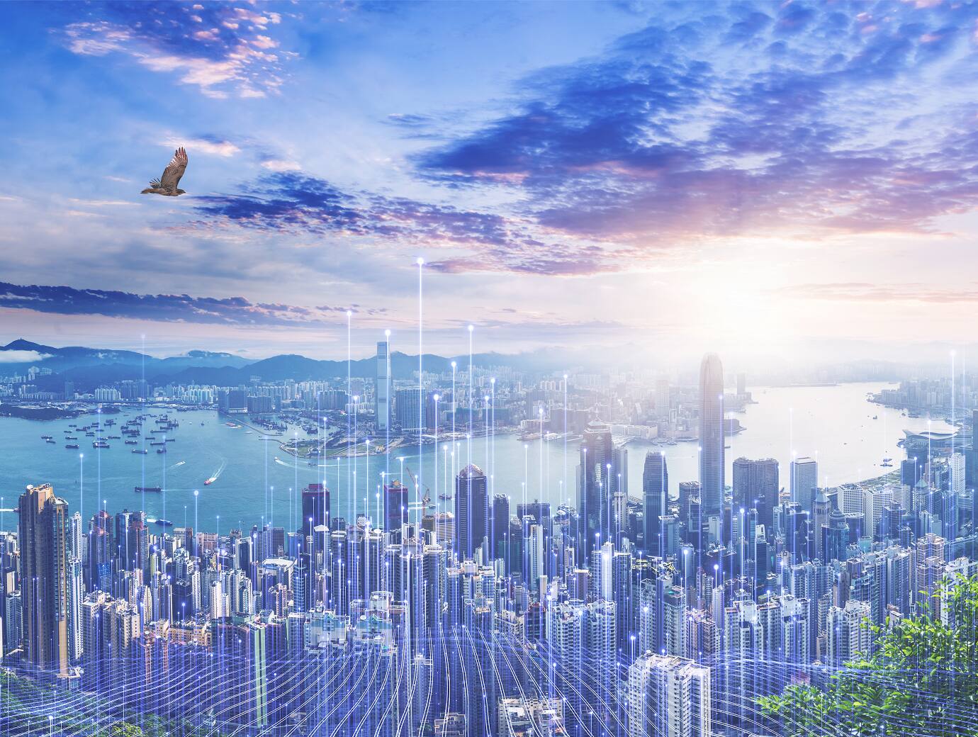 image-left-right_service