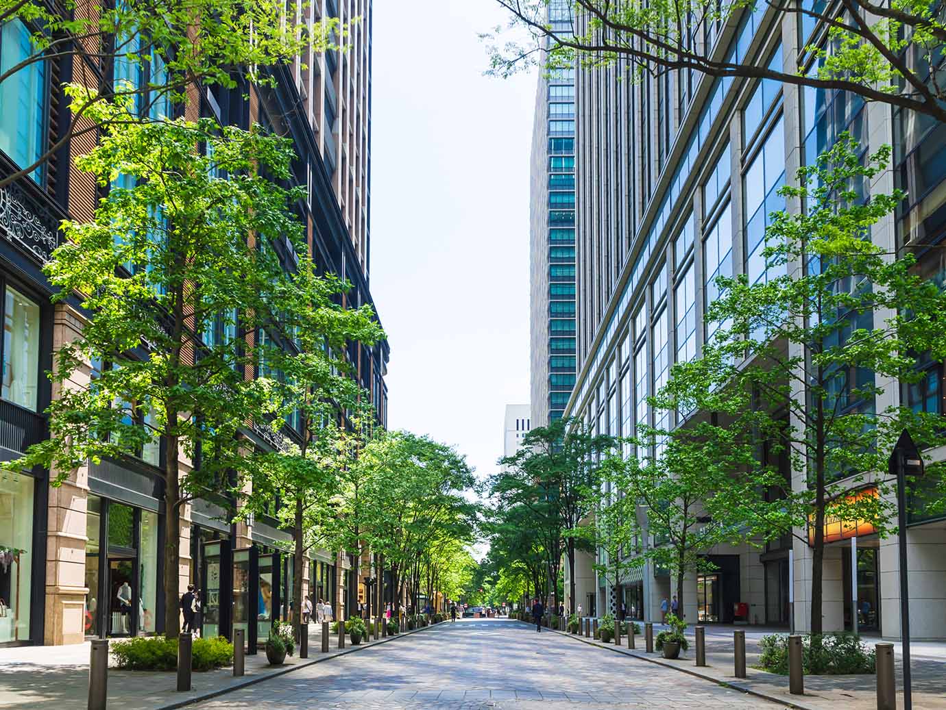 A pathway between two glass buildings