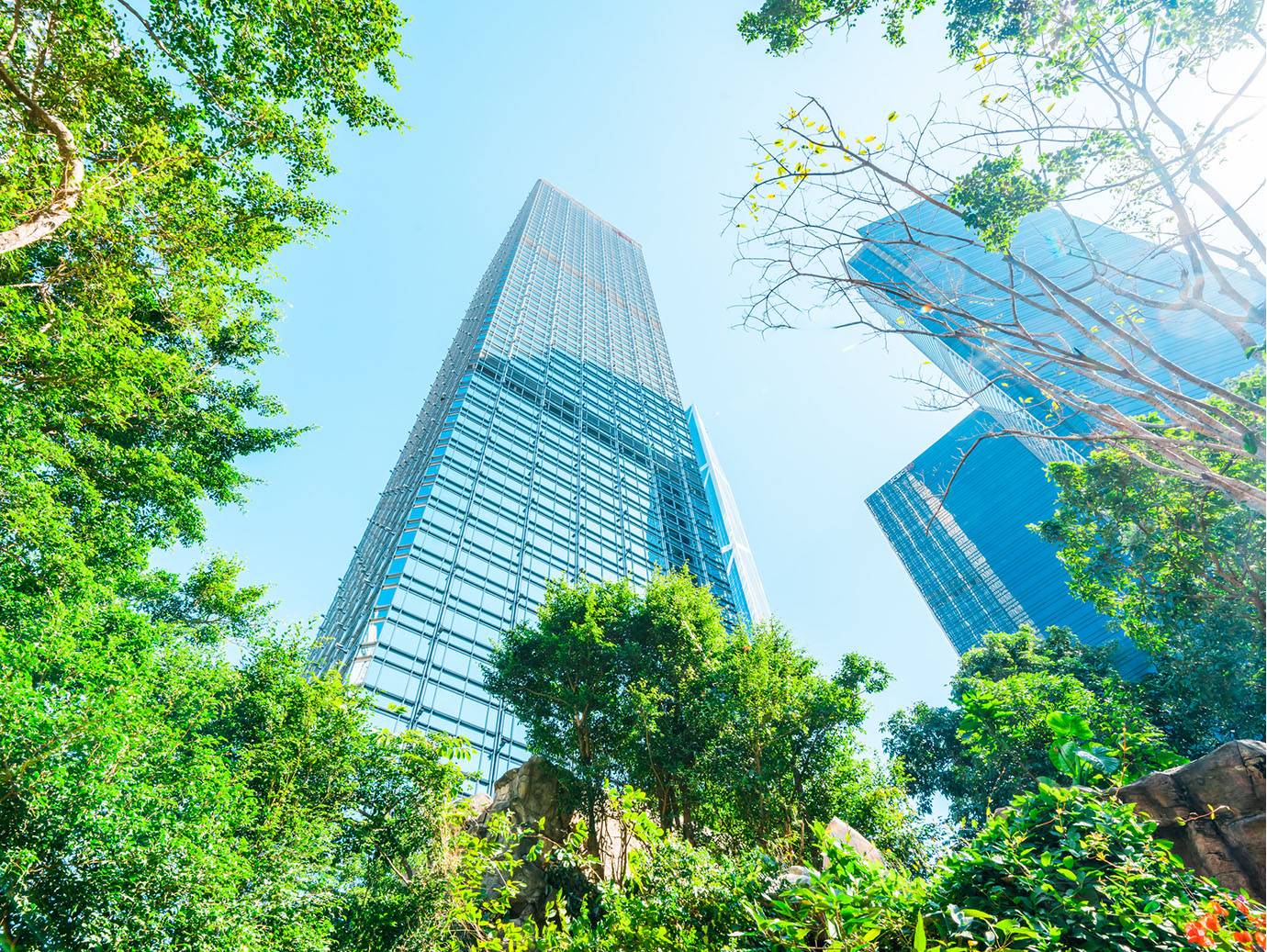 Frog's-eye view of skyscrapers behind trees, against a blue sky