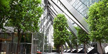 Walkway between two buildings with abundant greenery