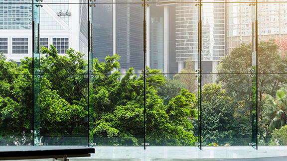 View of trees outside full length glass windows of an office