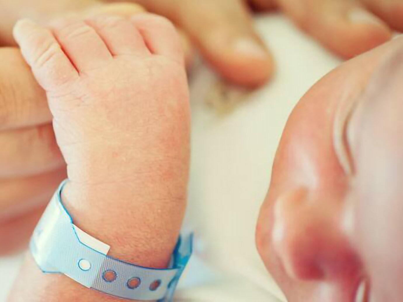 Close-up image of a newborn baby holding his mother's hand