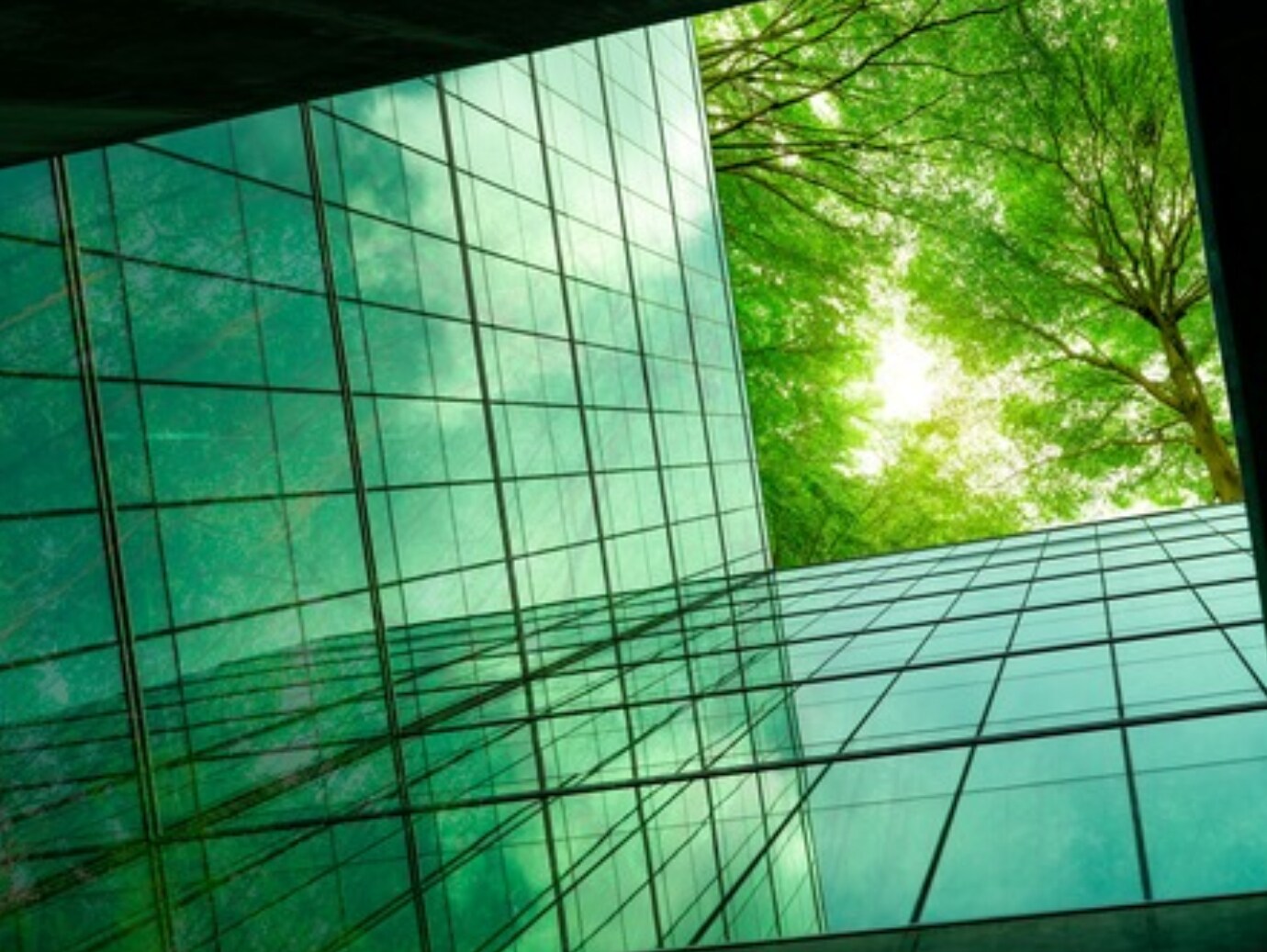 Green tree branches with leaves and sustainable glass building for reducing heat and carbon dioxide. Office building with green environment